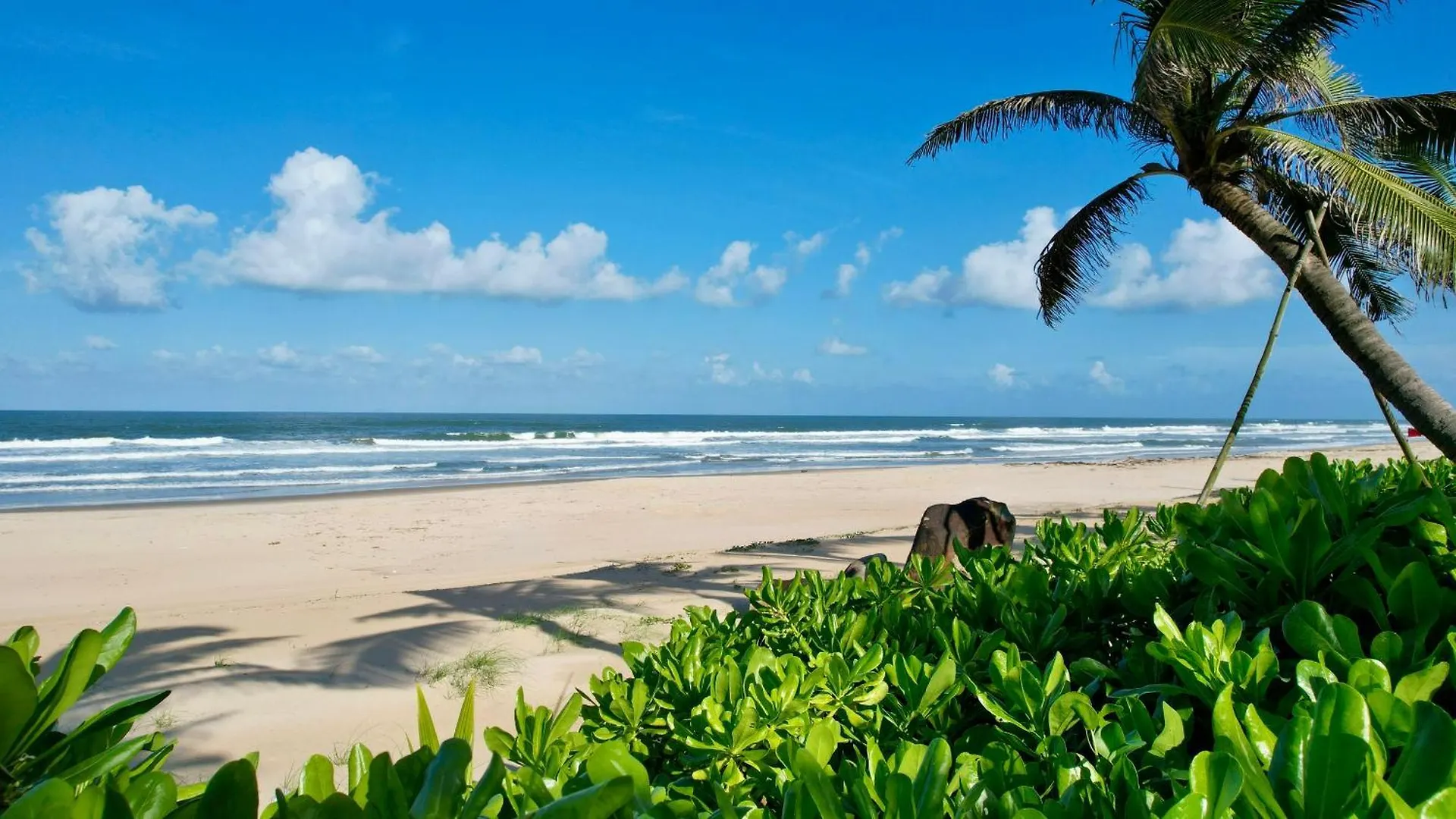 Bliss Hoi An Beach Resort & Wellness Vietnam